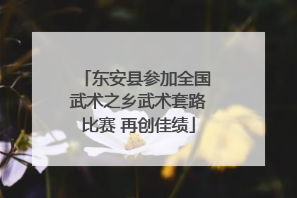 东安县参加全国武术之乡武术套路比赛 再创佳绩
