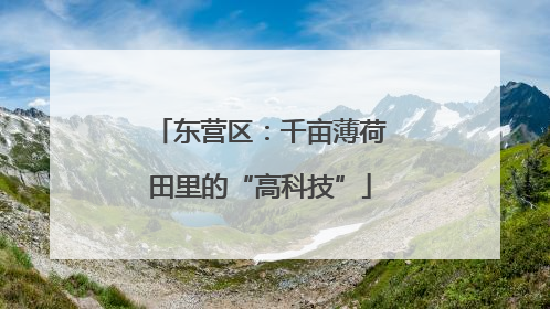 东营区：千亩薄荷田里的“高科技”