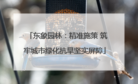 东象园林：精准施策 筑牢城市绿化抗旱坚实屏障
