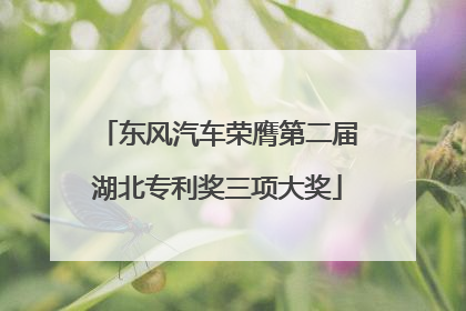 东风汽车荣膺第二届湖北专利奖三项大奖