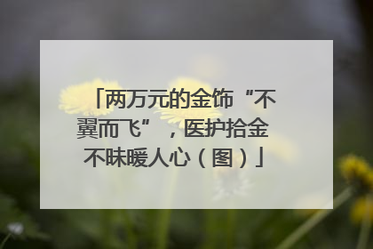 两万元的金饰“不翼而飞”，医护拾金不昧暖人心（图）