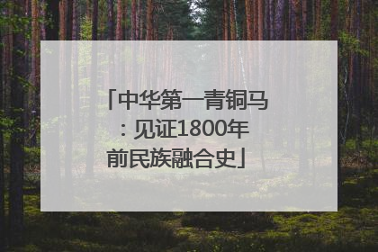 中华第一青铜马：见证1800年前民族融合史
