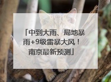 中到大雨、局地暴雨+9级雷暴大风！南京最新预测
