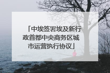 中埃签署埃及新行政首都中央商务区城市运营执行协议