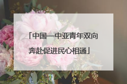 中国—中亚青年双向奔赴促进民心相通