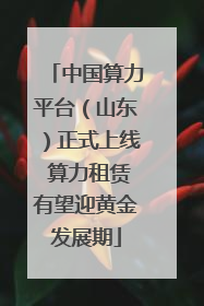 中国算力平台（山东）正式上线 算力租赁有望迎黄金发展期