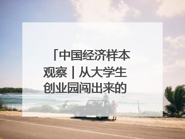 中国经济样本观察｜从大学生创业园闯出来的“小巨人”