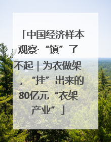 中国经济样本观察·“镇”了不起｜为衣做架，“挂”出来的80亿元“衣架产业”