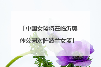 中国女篮将在临沂奥体公园对阵波兰女篮