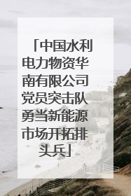 中国水利电力物资华南有限公司党员突击队勇当新能源市场开拓排头兵