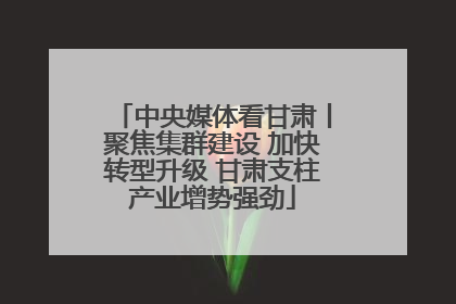 中央媒体看甘肃丨聚焦集群建设 加快转型升级 甘肃支柱产业增势强劲