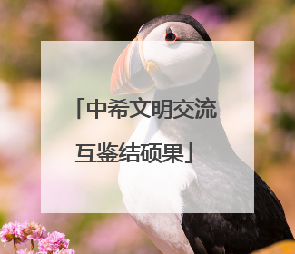 中希文明交流互鉴结硕果