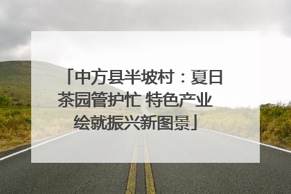 中方县半坡村：夏日茶园管护忙 特色产业绘就振兴新图景
