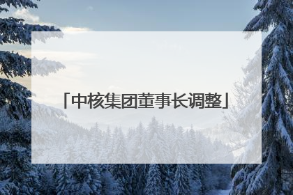 中核集团董事长调整