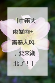 中雨大雨暴雨+雷暴大风，要来湖北了！