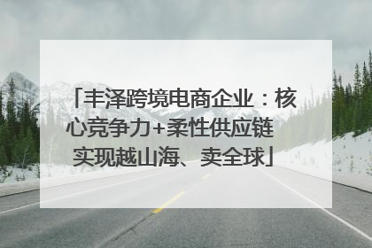 丰泽跨境电商企业：核心竞争力+柔性供应链 实现越山海、卖全球