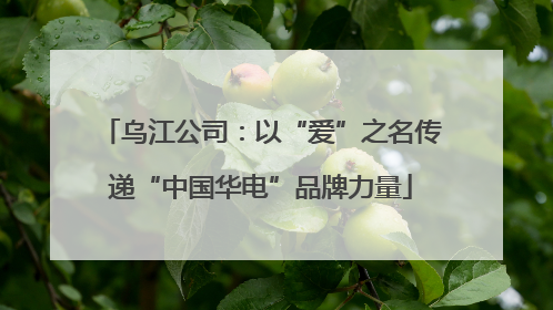 乌江公司：以“爱”之名传递“中国华电”品牌力量