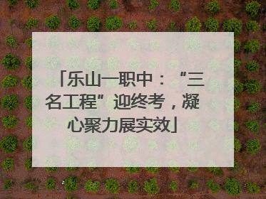 乐山一职中：“三名工程”迎终考，凝心聚力展实效