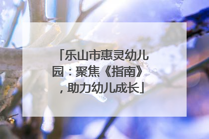 乐山市惠灵幼儿园：聚焦《指南》，助力幼儿成长