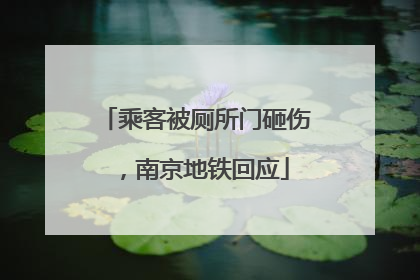 乘客被厕所门砸伤，南京地铁回应