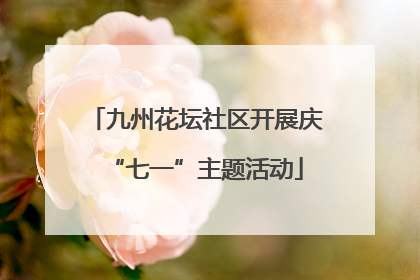 九州花坛社区开展庆“七一”主题活动