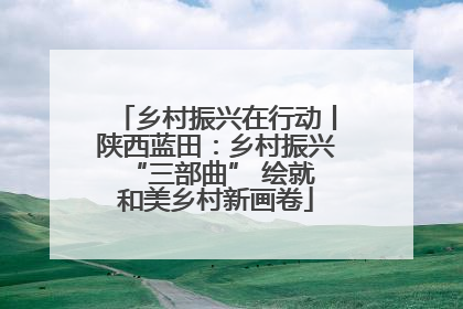 乡村振兴在行动丨陕西蓝田：乡村振兴 “三部曲” 绘就和美乡村新画卷