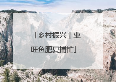 乡村振兴｜业旺鱼肥夏捕忙