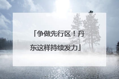 争做先行区！丹东这样持续发力