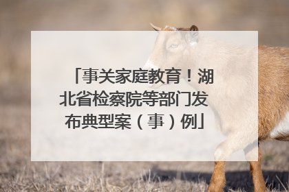 事关家庭教育！湖北省检察院等部门发布典型案（事）例