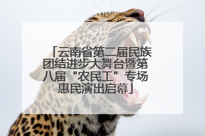云南省第二届民族团结进步大舞台暨第八届“农民工”专场惠民演出启幕