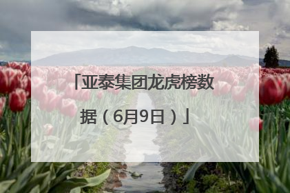 亚泰集团龙虎榜数据（6月9日）
