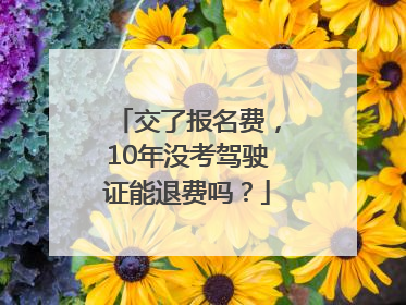 交了报名费，10年没考驾驶证能退费吗？