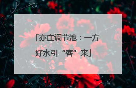 亦庄调节池：一方好水引“客”来
