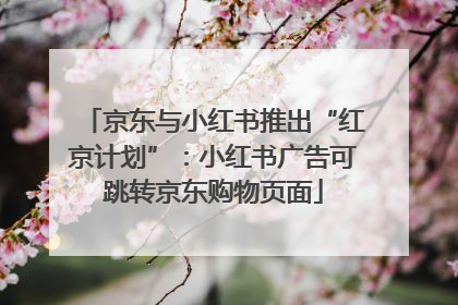 京东与小红书推出“红京计划”：小红书广告可跳转京东购物页面