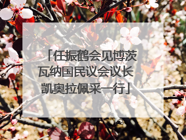 任振鹤会见博茨瓦纳国民议会议长凯奥拉佩采一行