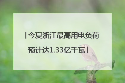 今夏浙江最高用电负荷预计达1.33亿千瓦
