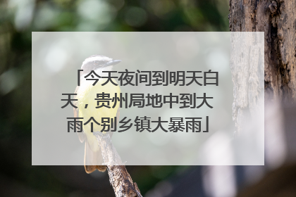 今天夜间到明天白天，贵州局地中到大雨个别乡镇大暴雨