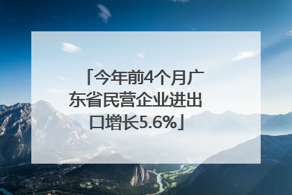 今年前4个月广东省民营企业进出口增长5.6%