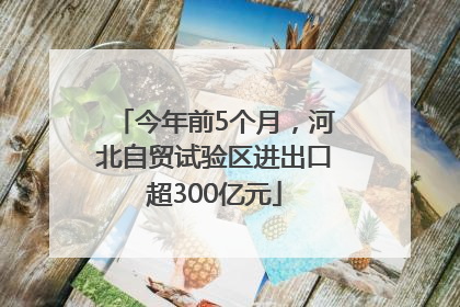 今年前5个月，河北自贸试验区进出口超300亿元