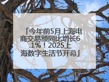 今年前5月上海电商交易额同比增长6.1%！2025上海数字生活节开幕