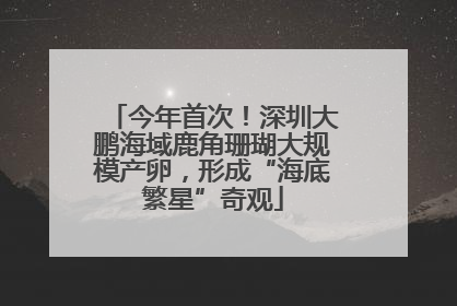 今年首次！深圳大鹏海域鹿角珊瑚大规模产卵，形成“海底繁星”奇观