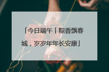 今日端午丨粽香飘春城，岁岁年年长安康