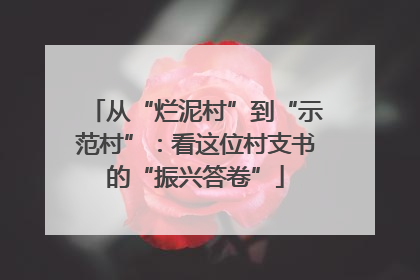从“烂泥村”到“示范村”：看这位村支书的“振兴答卷”
