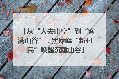 从“人去山空”到“客满山谷”，黑麋峰“新村民”唤醒沉睡山谷