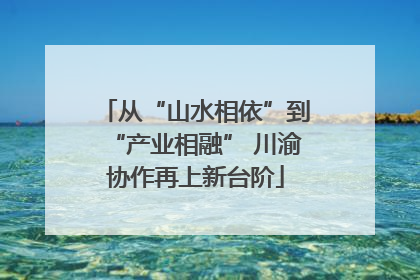 从“山水相依”到“产业相融” 川渝协作再上新台阶