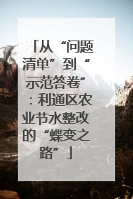 从“问题清单”到“示范答卷”：利通区农业节水整改的“蝶变之路”