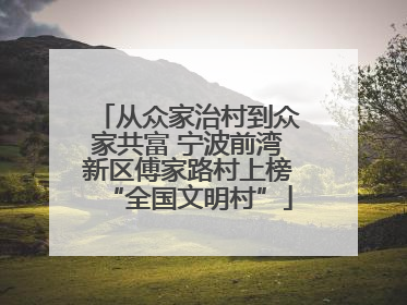 从众家治村到众家共富 宁波前湾新区傅家路村上榜“全国文明村”