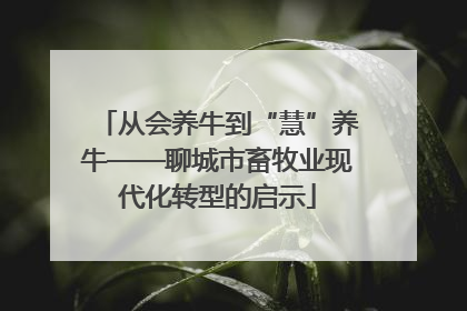 从会养牛到“慧”养牛——聊城市畜牧业现代化转型的启示