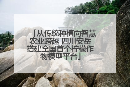 从传统种植向智慧农业跨越 四川安岳搭建全国首个柠檬作物模型平台