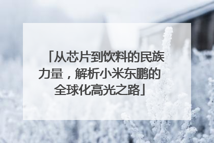 从芯片到饮料的民族力量，解析小米东鹏的全球化高光之路